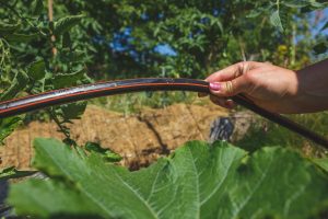 Dropbevattning från Gardena