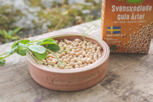 Svenska gula ärtor