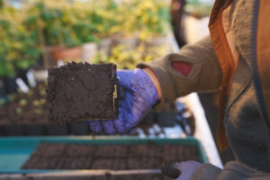 Fylld soilblocker