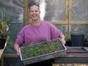 Sara med ett tråg fullt av myntasticklingar.