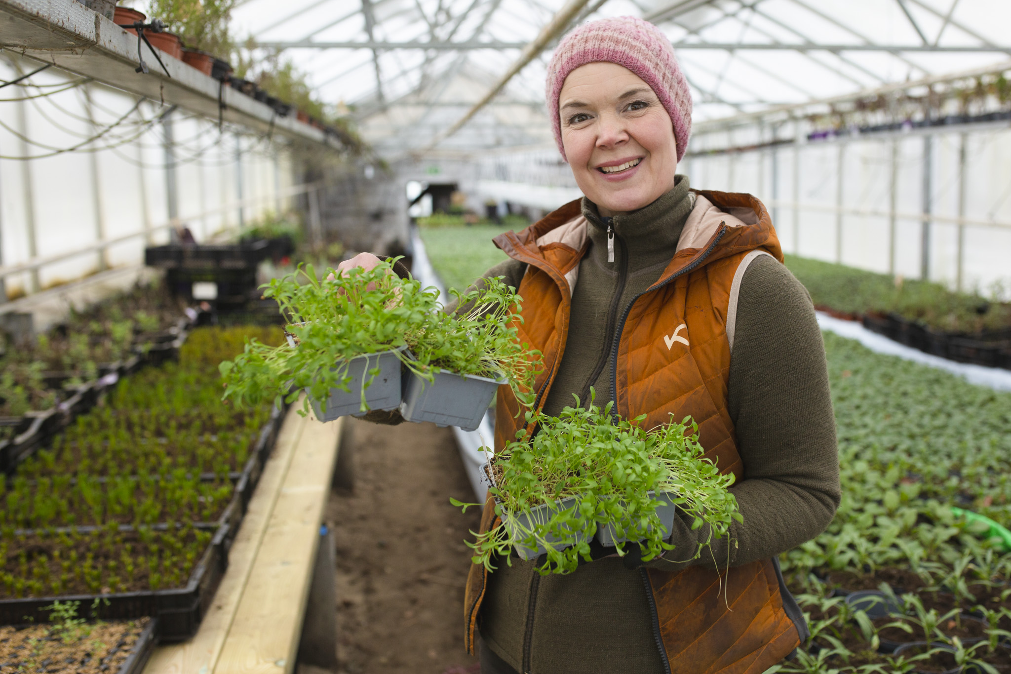 How to Grow Cilantro Microgreens - Sara at Skillnaden's