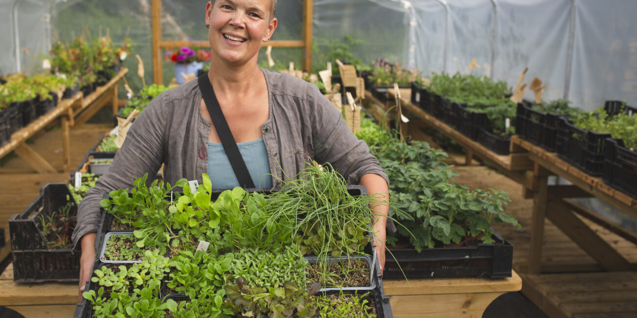 Sara's Kitchen Garden – Organic Gardening and Self-Sufficiency Blog