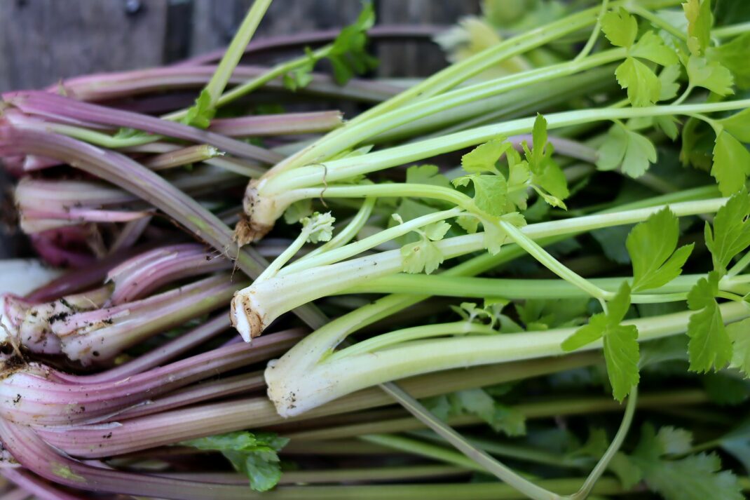 Grow celery.